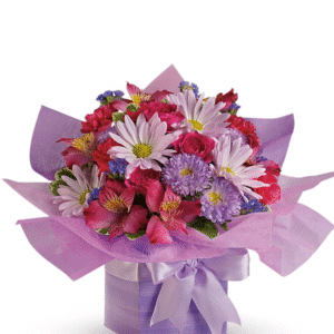 Lovely Lavender