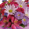 Lovely Lavender - Image 2