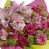 Pretty in Pink - Image 2