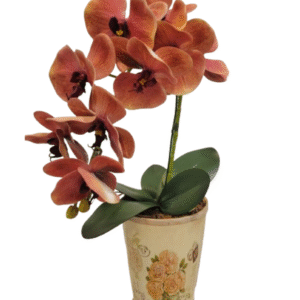 A Cor da Orquídea