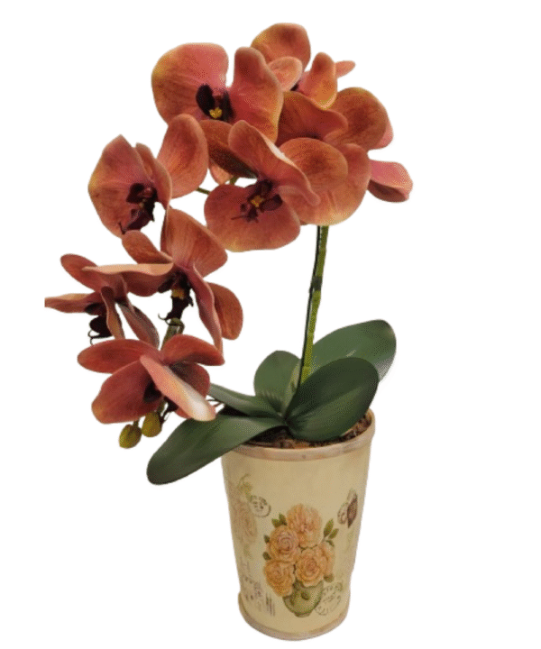 A Cor da Orquídea
