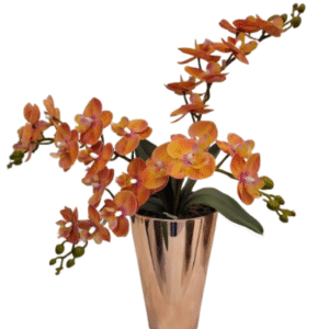 Vaso Mini Orquídea Duo