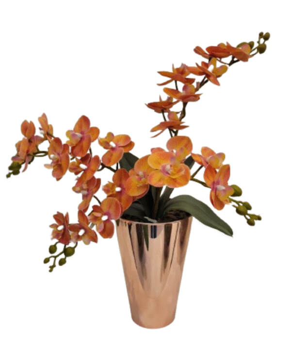 Vaso Mini Orquídea Duo