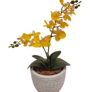 Orquídea Amarela Lux