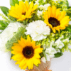 Muitas Felicidades - Image 2