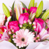 Love Pink - Image 2