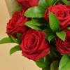 Buquê de 12 Rosas Vermelhas Clássicas - Beleza e Romance - Image 2